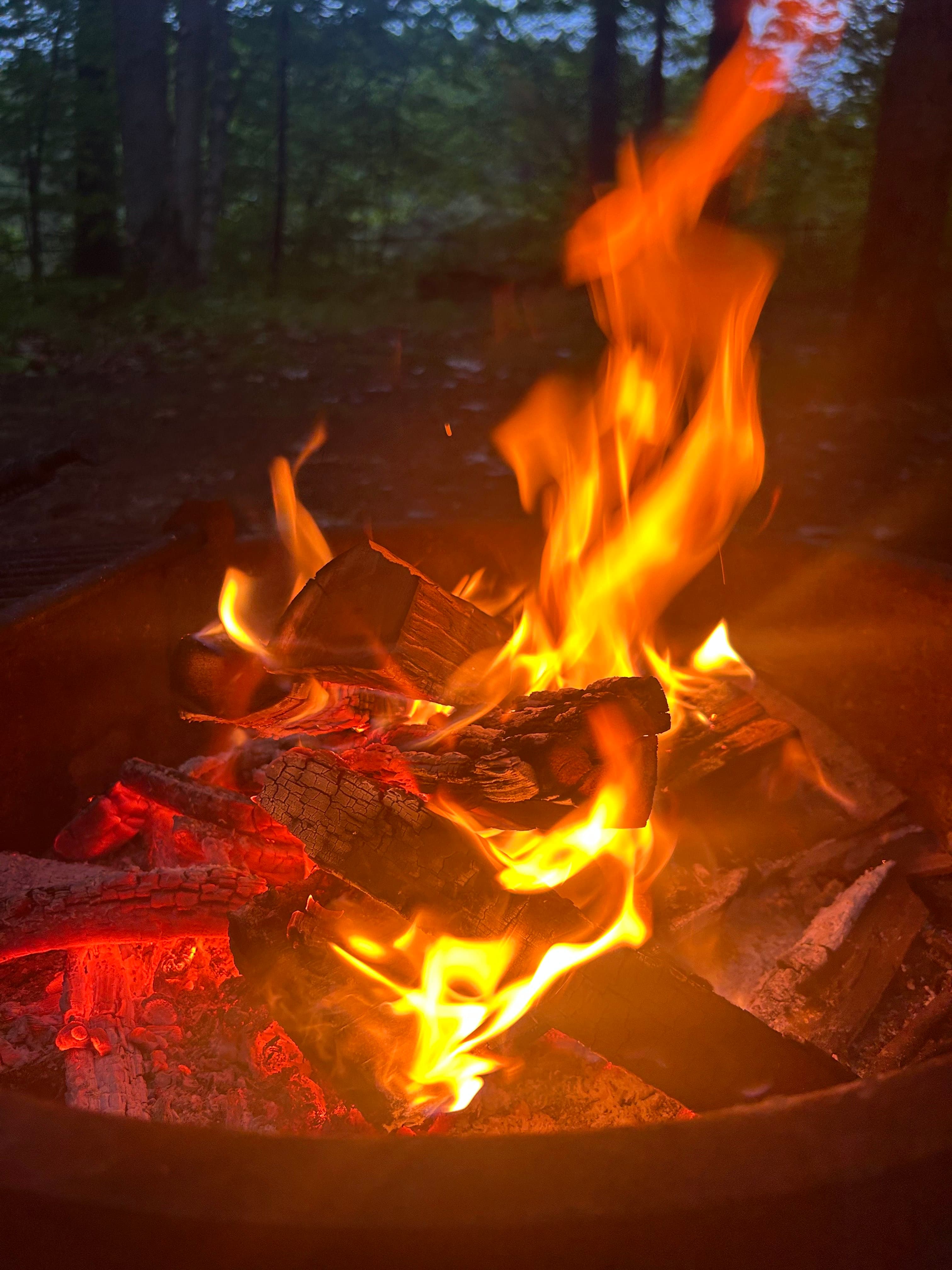 The Wayfinder Retreat